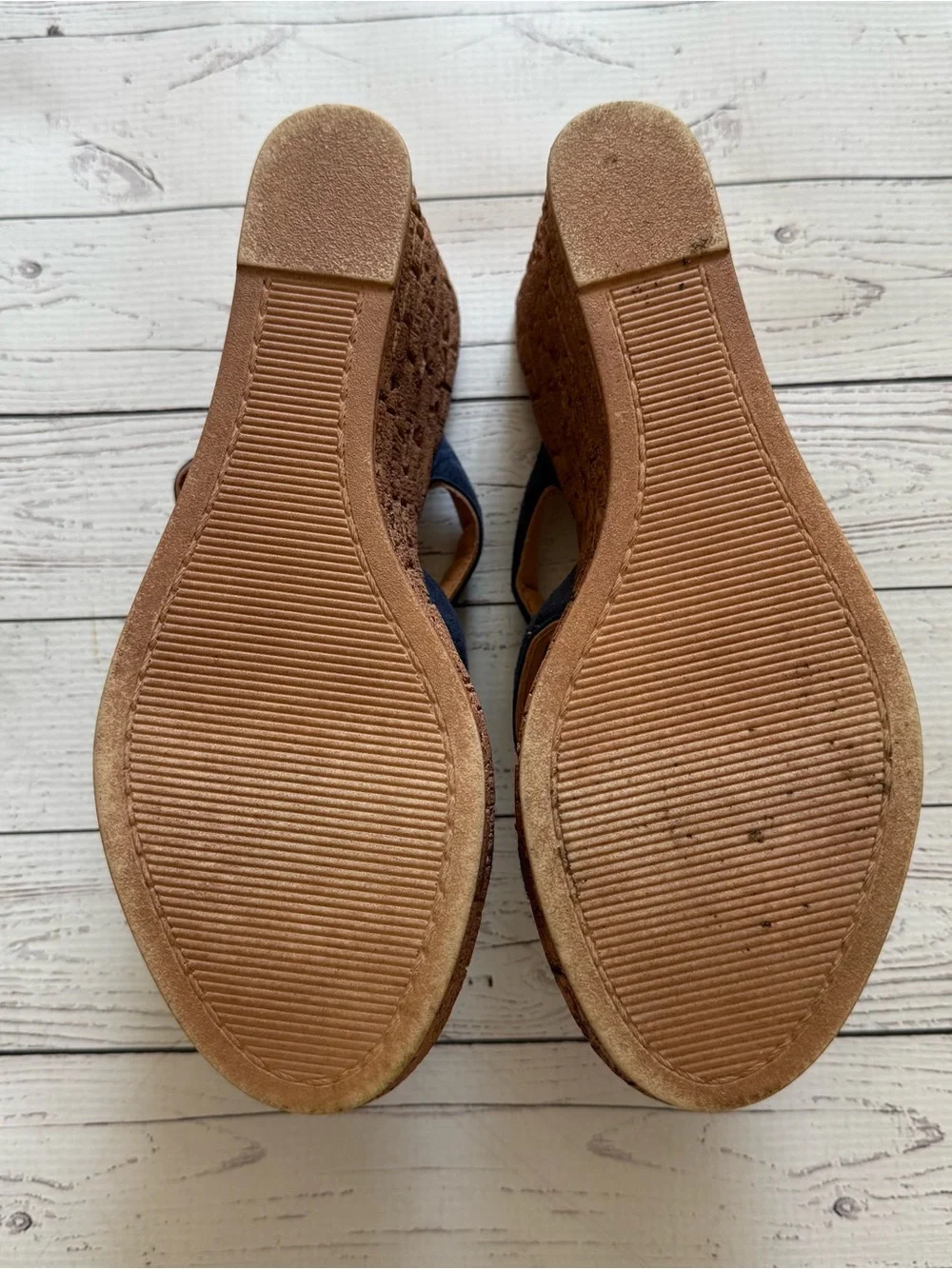 Mariella Navy Wedges